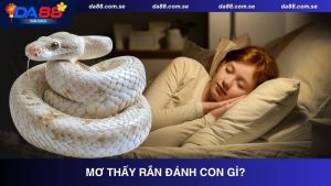 Mơ thấy rắn đánh con gì?