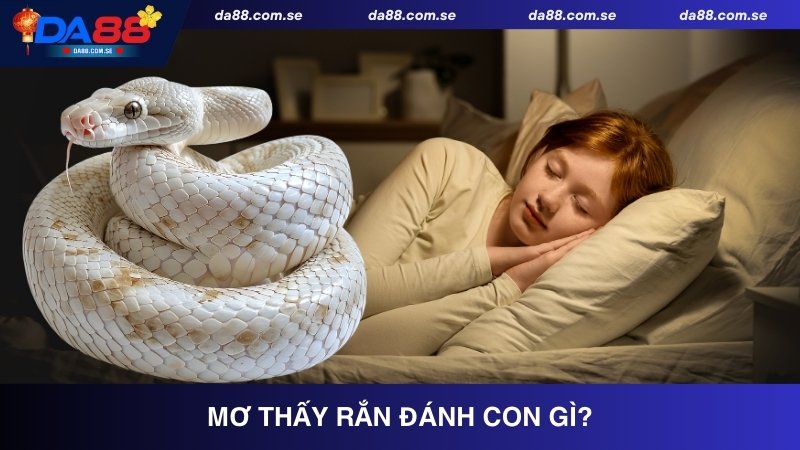 Mơ thấy rắn đánh con gì?