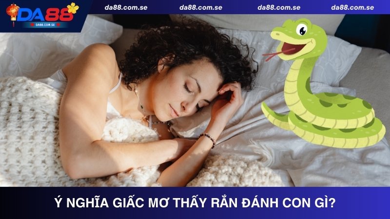 Giải mã ý nghĩa giấc mơ thấy rắn đánh con gì?